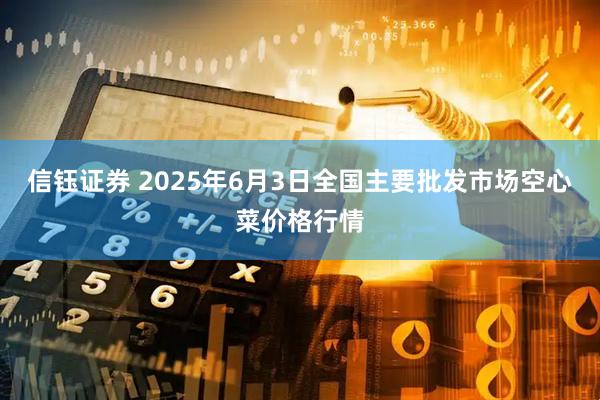 信钰证券 2025年6月3日全国主要批发市场空心菜价格行情