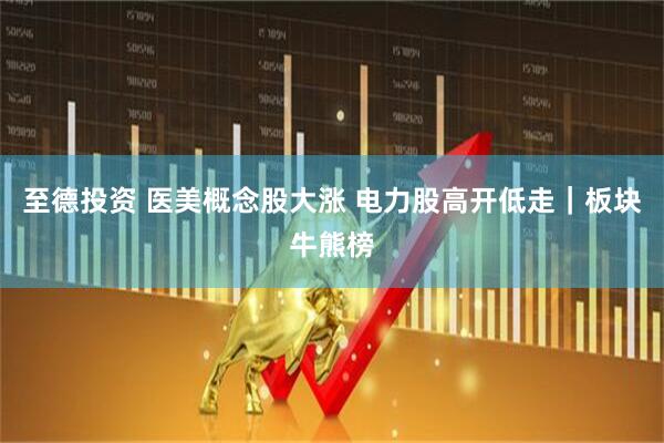 至德投资 医美概念股大涨 电力股高开低走|板块牛熊榜