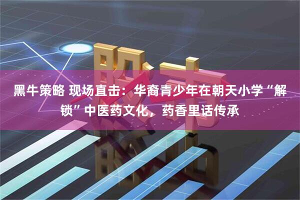黑牛策略 现场直击：华裔青少年在朝天小学“解锁”中医药文化，药香里话传承