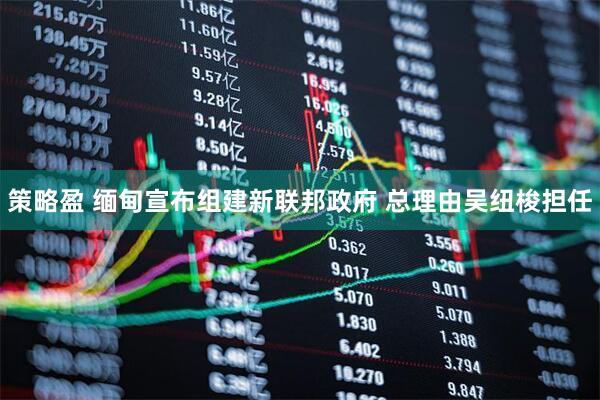 策略盈 缅甸宣布组建新联邦政府 总理由吴纽梭担任