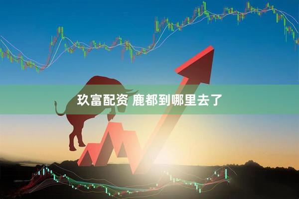 玖富配资 鹿都到哪里去了