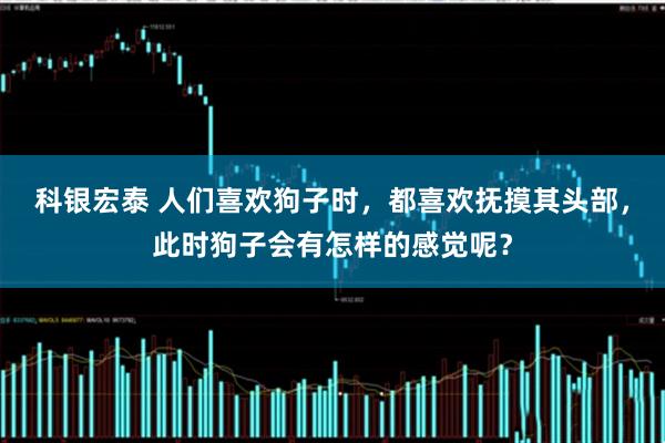 科银宏泰 人们喜欢狗子时，都喜欢抚摸其头部，此时狗子会有怎样的感觉呢？