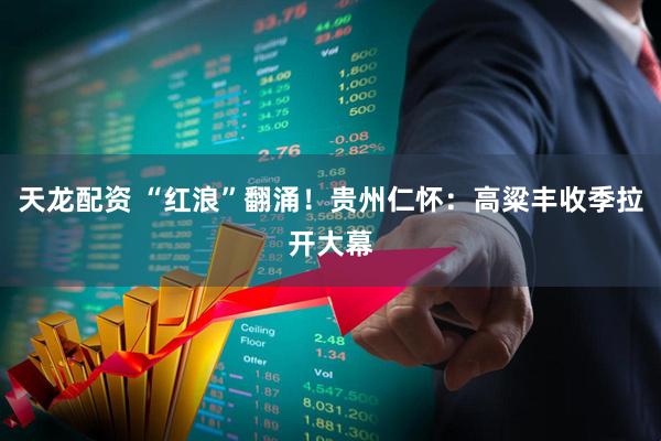 天龙配资 “红浪”翻涌！贵州仁怀：高粱丰收季拉开大幕