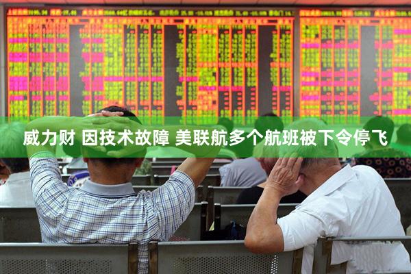 威力财 因技术故障 美联航多个航班被下令停飞
